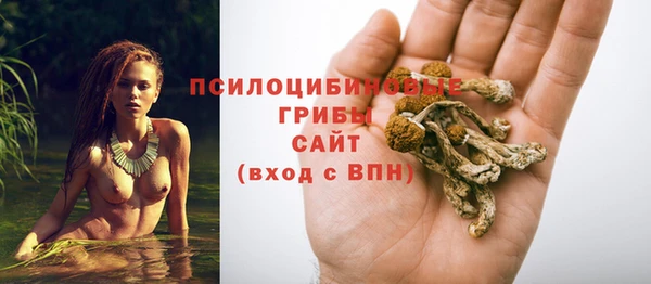 дмт Новокубанск