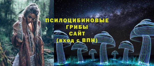 МДПВ Новозыбков