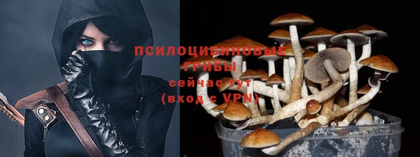 дмт Новокубанск