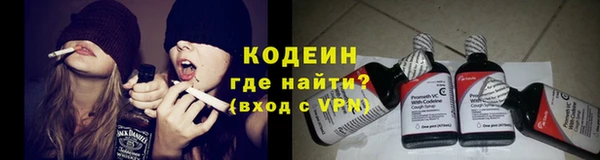 МДПВ Новозыбков