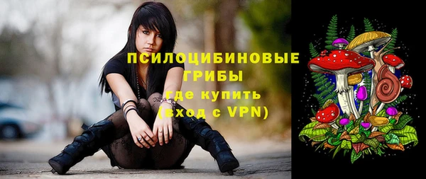 МДПВ Новозыбков
