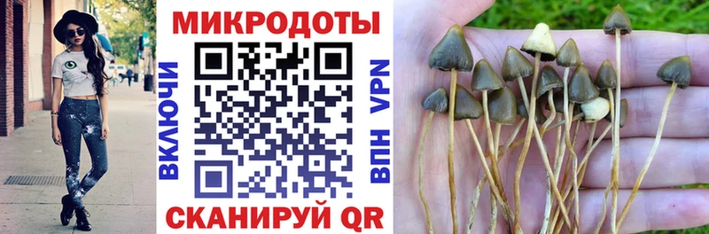Псилоцибиновые грибы GOLDEN TEACHER  Бугуруслан 