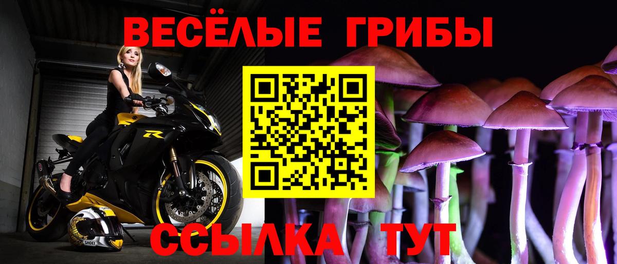 Псилоцибиновые грибы Magic Shrooms Бугуруслан